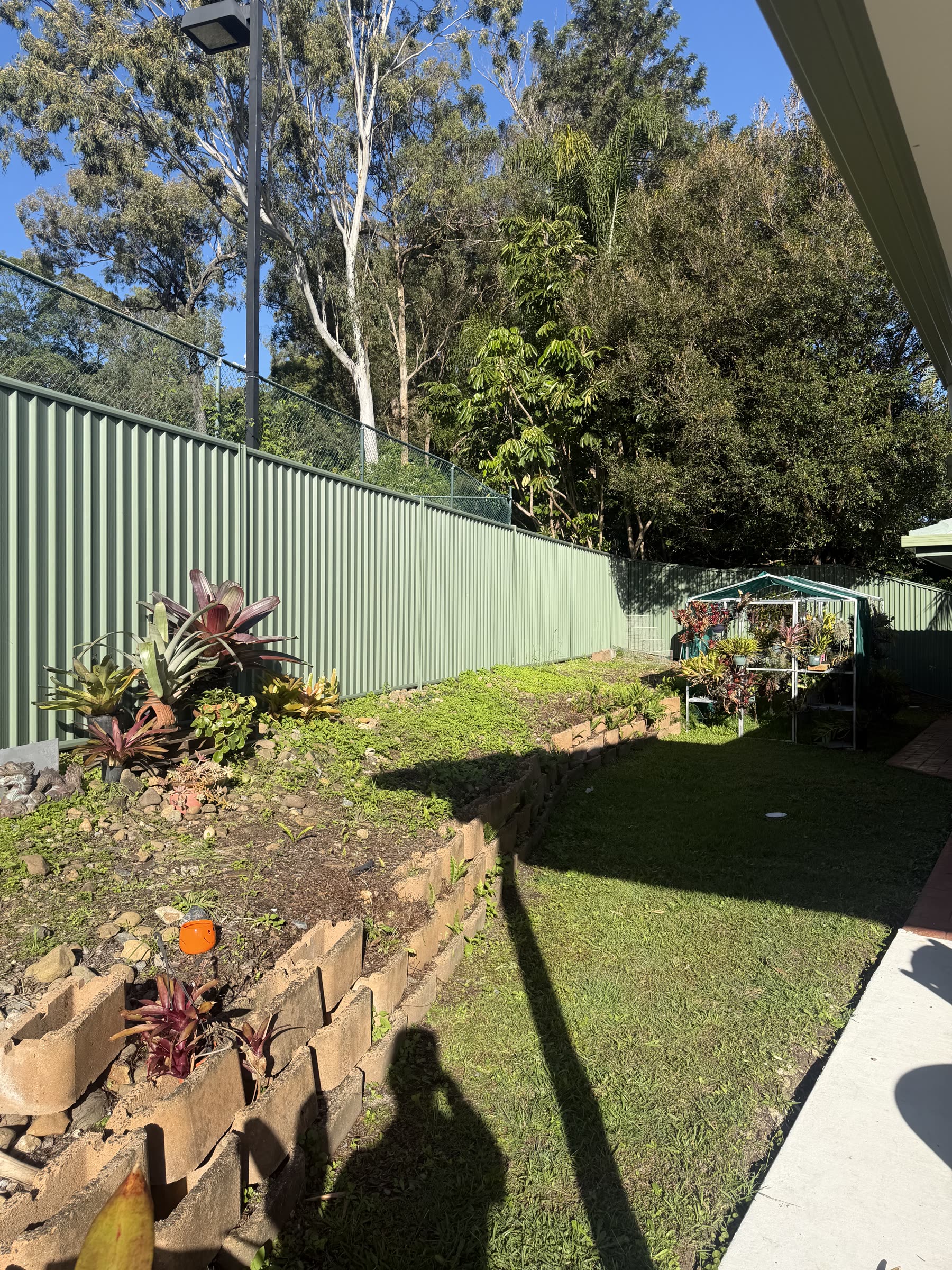 The old brick wall before demolition, Parkwood