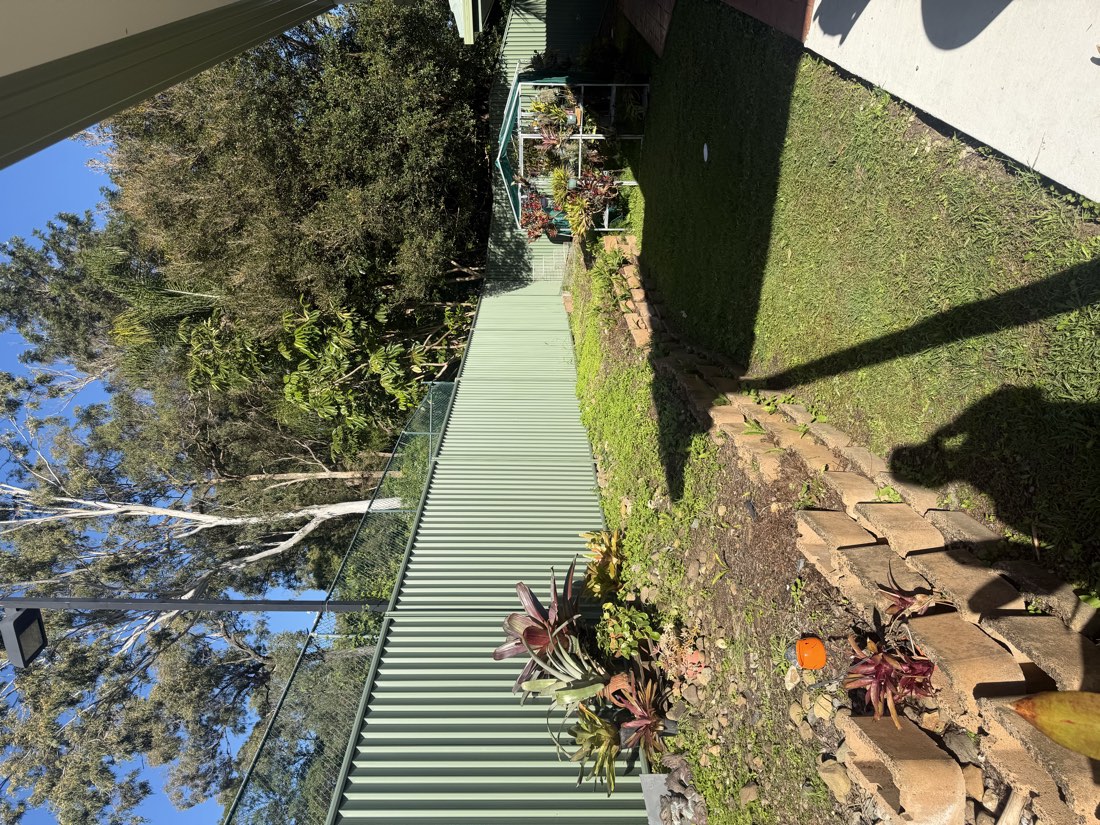 The other side of the property, established garden