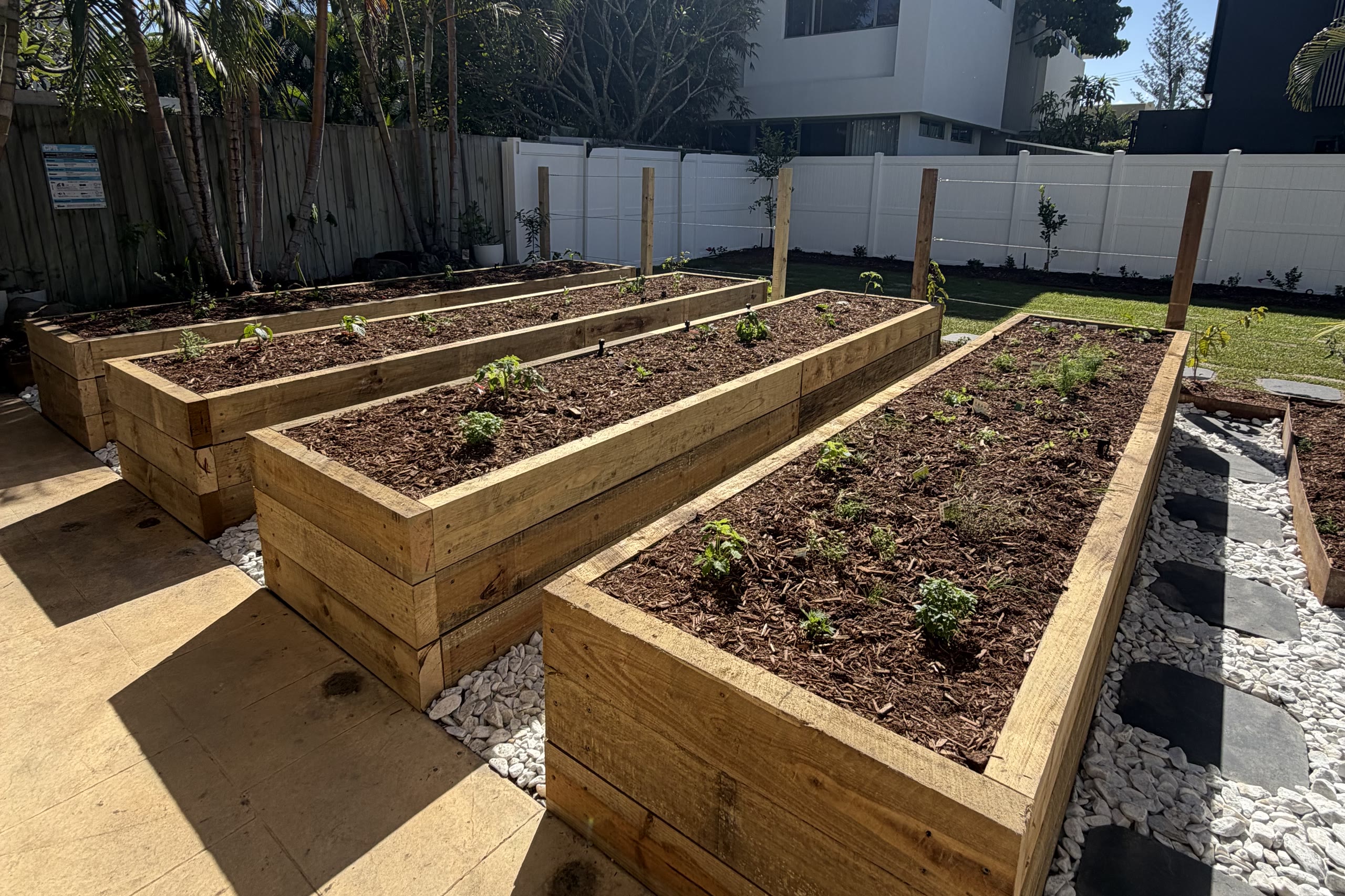 The Alfred St yard transformed from an old pool into timber garden beds