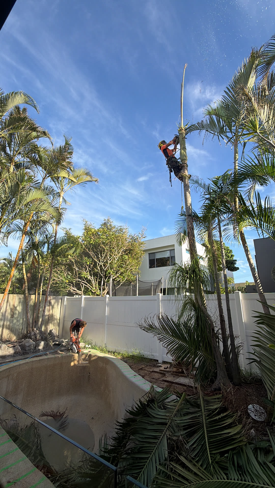 Tree and hedge work, trailer loaded